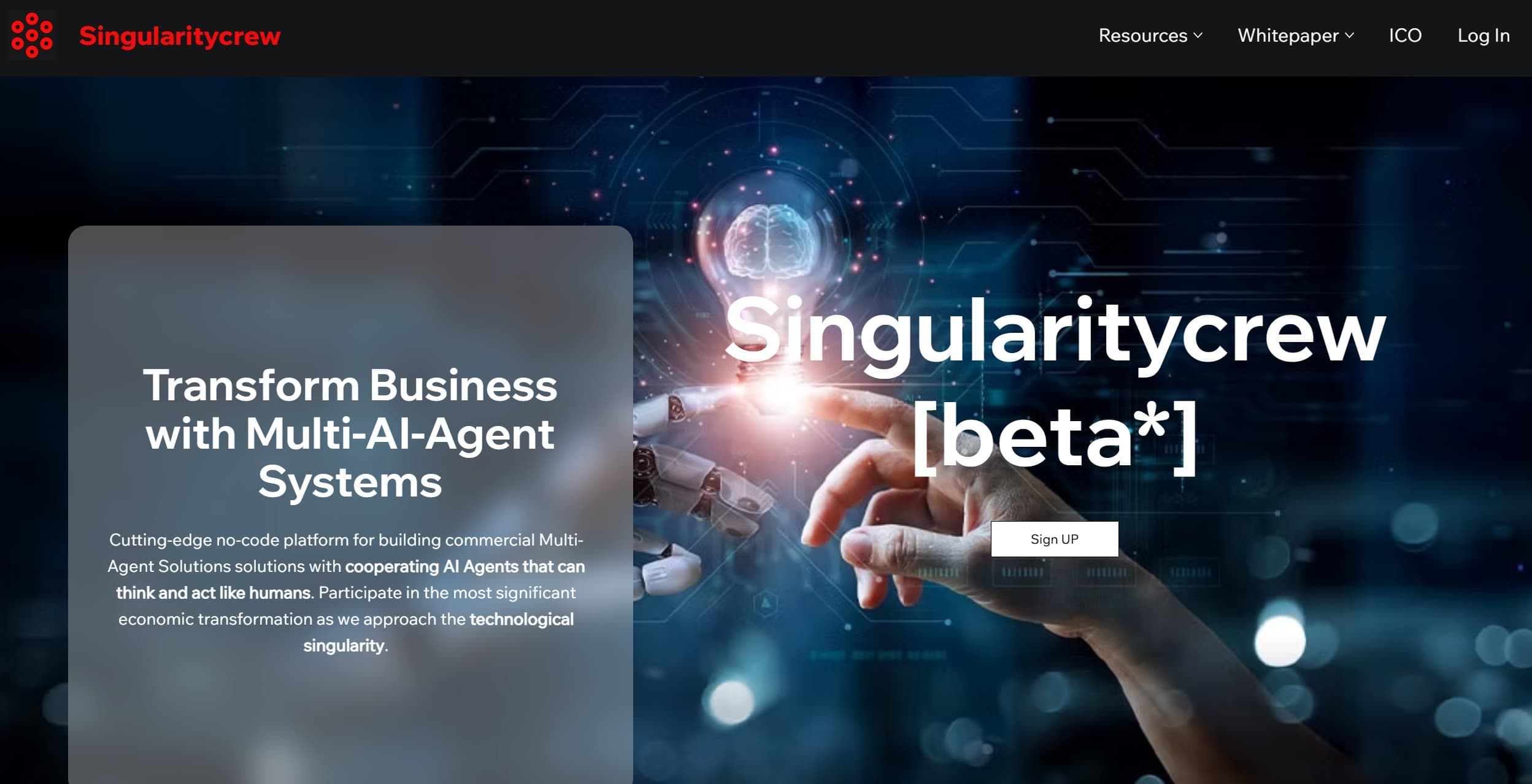 Singularitycrew